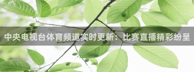 178直播吧体育