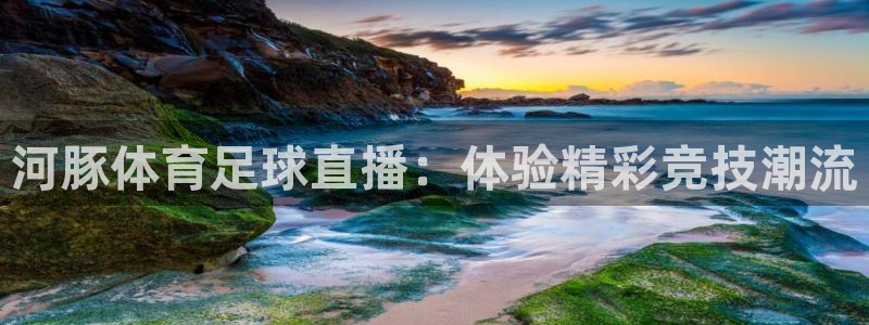 178直播高清体育直播：河豚体育足球直播：体验精彩竞技潮流