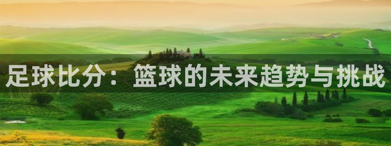 178直播电脑版：足球比分：篮球的未来趋势与挑战
