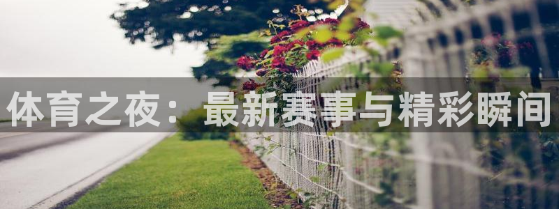 178直播体育nba：体育之夜：最新赛事与精彩瞬间