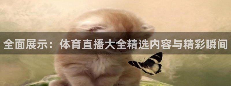 178直播体育平台：全面展示：体育直播大全精选内容与精彩瞬间