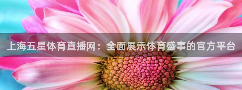 178直播体育赛事：上海五星体育直播网：全面展示体育盛事的官方平台