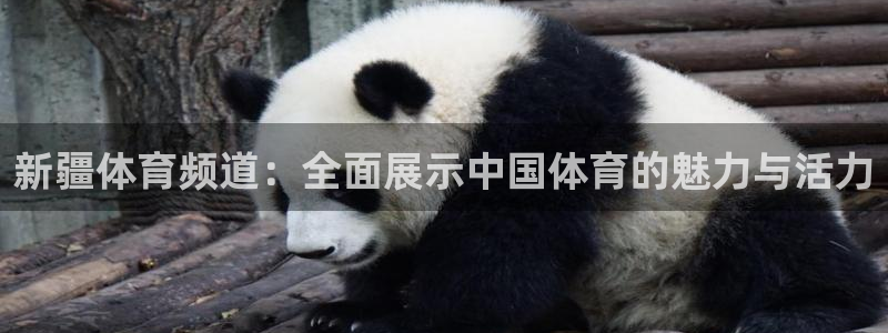 178直播比赛在线观看：新疆体育频道：全面展示中国体育的魅力与活力