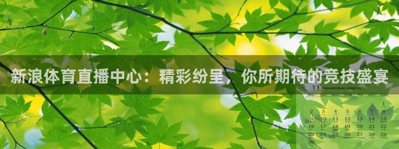 178直播体育赛事免费直播：新浪体育直播中心：精彩纷呈，你所期待的竞技盛宴