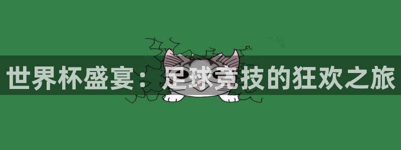 怎样在手机上下载178直播：世界杯盛宴：足球竞技的狂欢之旅