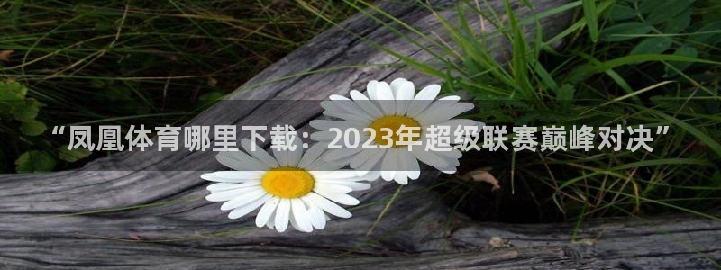178直播吧足球直播高清：“凤凰体育哪里下载：2023年超级联赛巅峰对决”