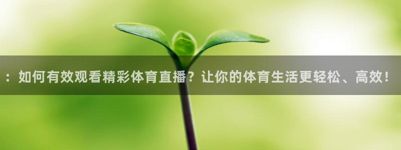 178直播足球直播在线：：如何有效观看精彩体育直播？让你的体育生活更轻松、高效！