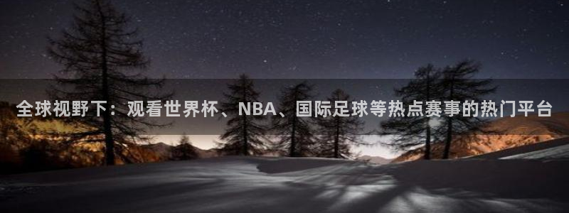178直播体育在线：全球视野下：观看世界杯、NBA、国际足球等热点赛事的热门平台